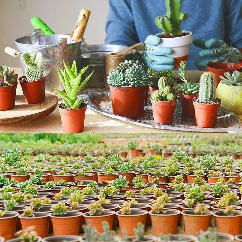 Conjunto de 75 Peças Vasos para Plantas Leve Fácil®️