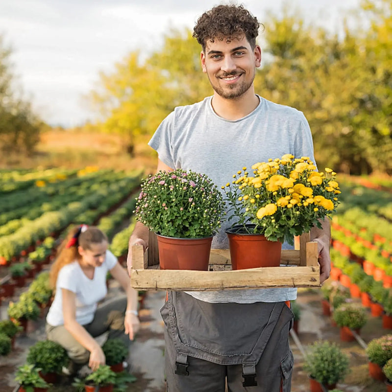 Conjunto de 75 Peças Vasos para Plantas Leve Fácil®️