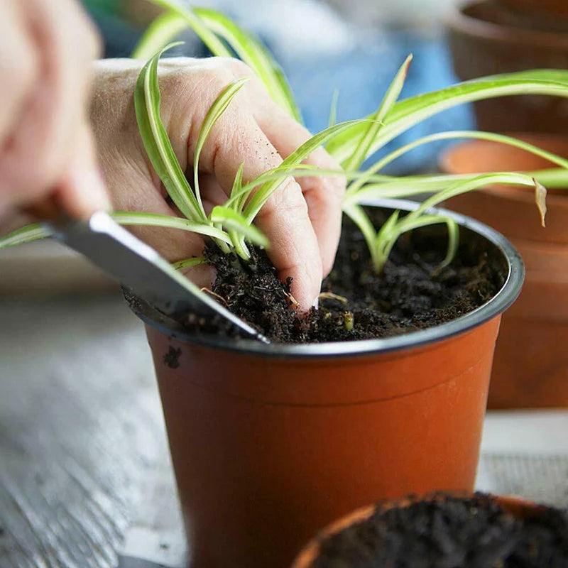 Conjunto de 75 Peças Vasos para Plantas Leve Fácil®️